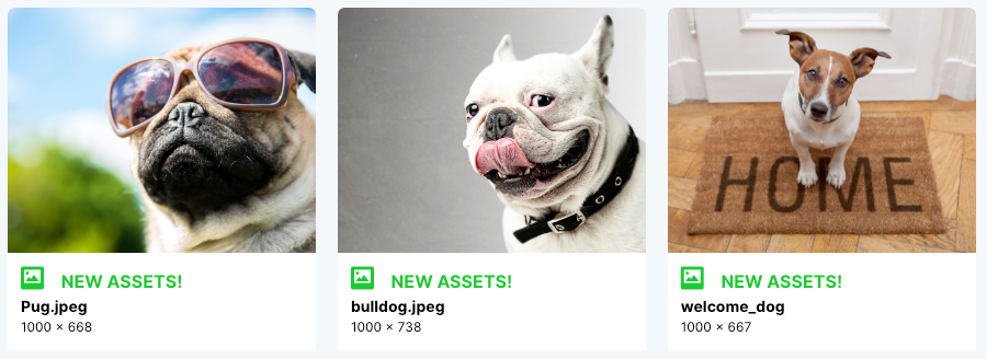 dashboard-latest-assets.png
